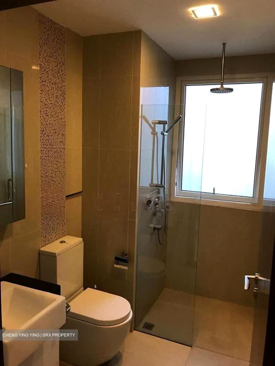 8 Bassein (D11), Apartment #637538731